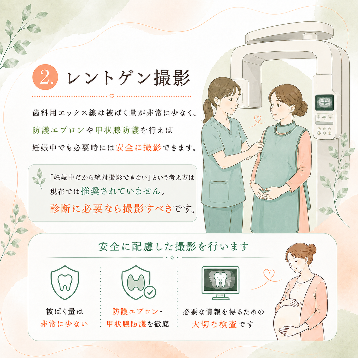 2. レントゲン撮影